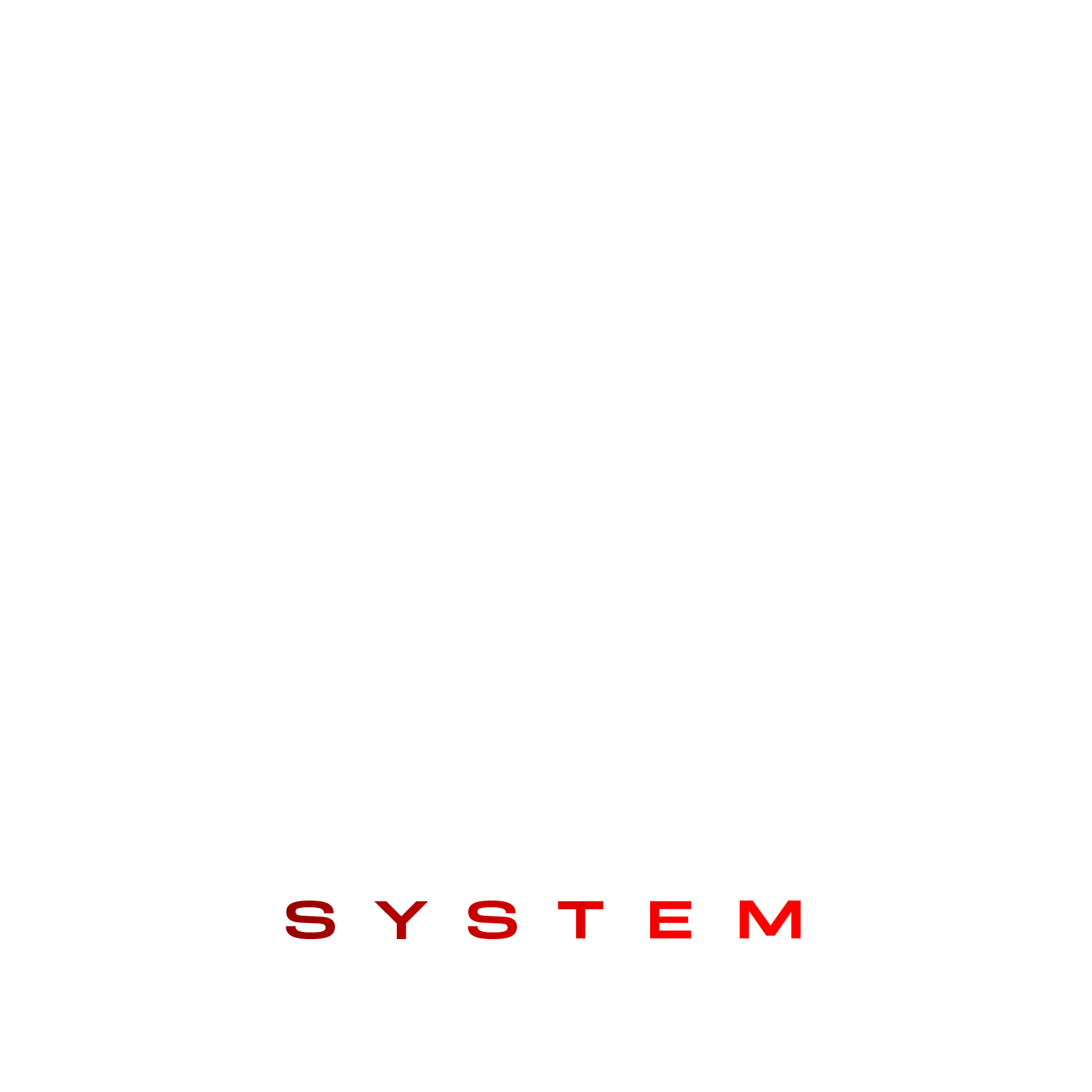 HAWK SYSTEM